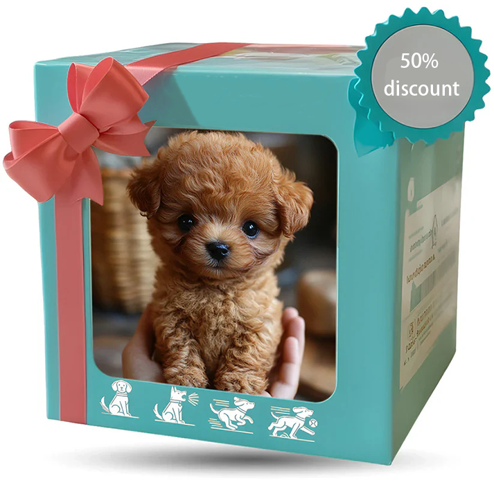 🎄 Christmas Special Offer- 50%OFF🎁Nicco-My Realistic Robot Puppy-ZZQ