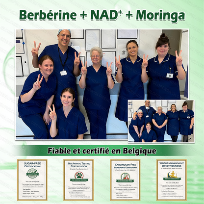 Boutique officielle 📷 Solaryra® Moringa · Berbérine + NAD+ – Patch Microneedle Nano Avancé 10-en-1 (1×/jour, résultats visibles en 7 jours) | Obésité, relâchement cutané, apnée du sommeil, articulations, etc.XA