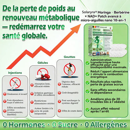Boutique officielle 📷 Solaryra® Moringa · Berbérine + NAD+ – Patch Microneedle Nano Avancé 10-en-1 (1×/jour, résultats visibles en 7 jours) | Obésité, relâchement cutané, apnée du sommeil, articulations, etc.XA