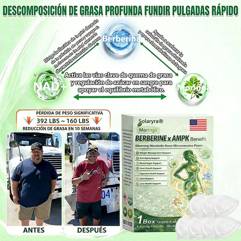 🔥Solaryra® Moringa × Berberina × AMPK Parche de nano microagujas adelgazante y metabólico de 8 beneficios 🇺🇸 Solo una vez al día · Cambios visibles en 7 días ✅ Para obesidad, piel flácida, diabetes, apnea del sueño, problemas articulares y más-XA