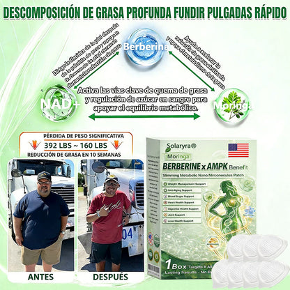 🔥Solaryra® Moringa × Berberina × AMPK Parche de nano microagujas adelgazante y metabólico de 8 beneficios 🇺🇸 Solo una vez al día · Cambios visibles en 7 días ✅ Para obesidad, piel flácida, diabetes, apnea del sueño, problemas articulares y más-XA
