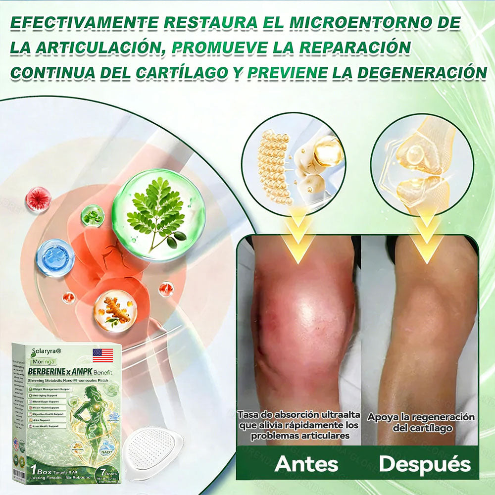 🔥Solaryra® Moringa × Berberina × AMPK Parche de nano microagujas adelgazante y metabólico de 8 beneficios 🇺🇸 Solo una vez al día · Cambios visibles en 7 días ✅ Para obesidad, piel flácida, diabetes, apnea del sueño, problemas articulares y más-XA