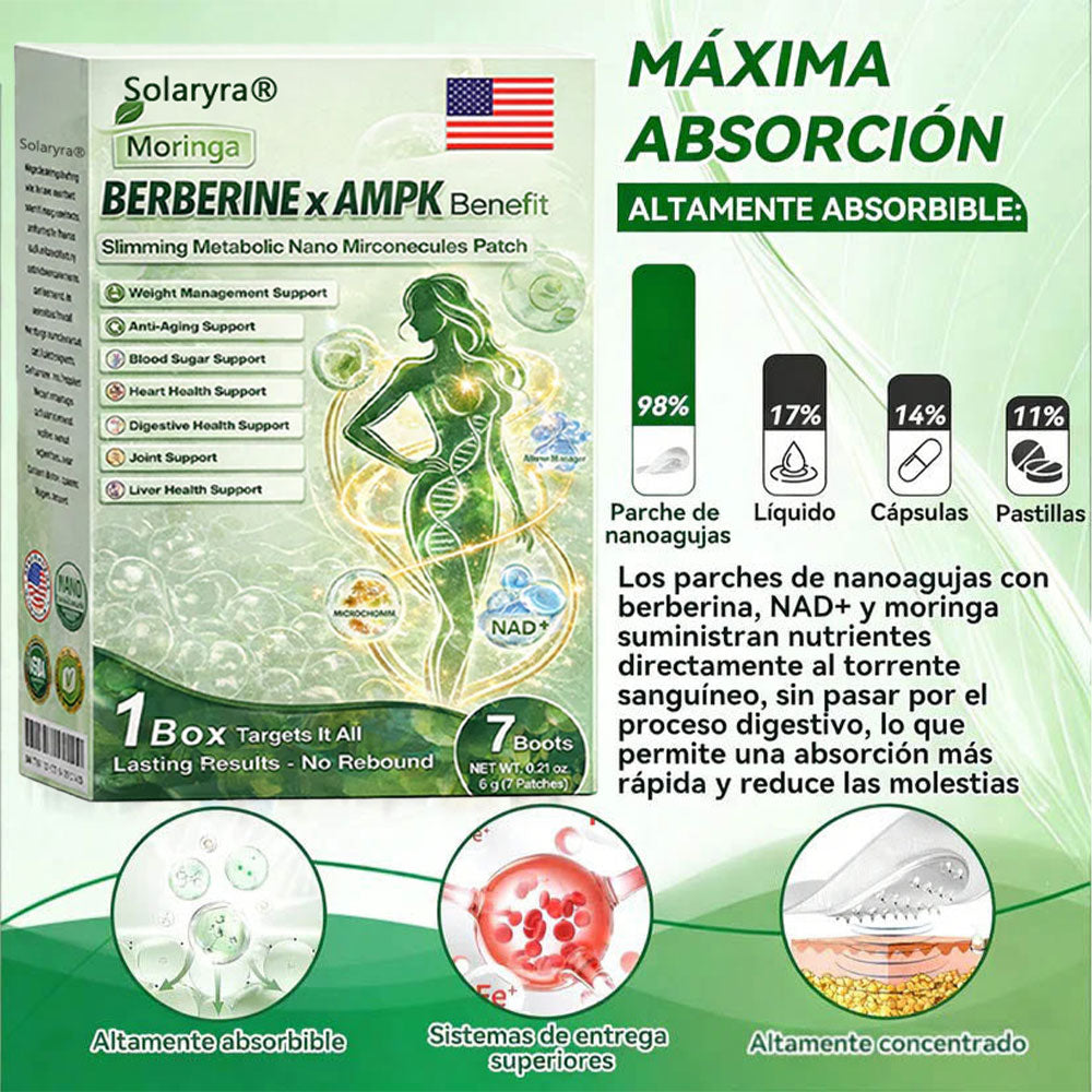 🔥Solaryra® Moringa × Berberina × AMPK Parche de nano microagujas adelgazante y metabólico de 8 beneficios 🇺🇸 Solo una vez al día · Cambios visibles en 7 días ✅ Para obesidad, piel flácida, diabetes, apnea del sueño, problemas articulares y más-XA