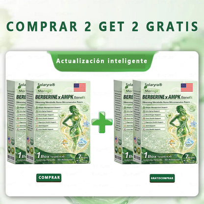 🔥Solaryra® Moringa × Berberina × AMPK Parche de nano microagujas adelgazante y metabólico de 8 beneficios 🇺🇸 Solo una vez al día · Cambios visibles en 7 días ✅ Para obesidad, piel flácida, diabetes, apnea del sueño, problemas articulares y más-XA